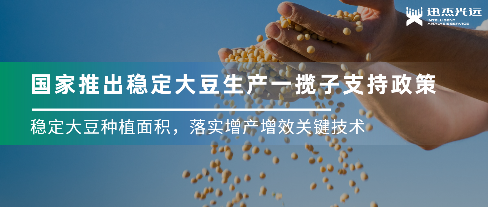 重大利好！国家推出稳定2023年大豆生产 一揽子支持政策